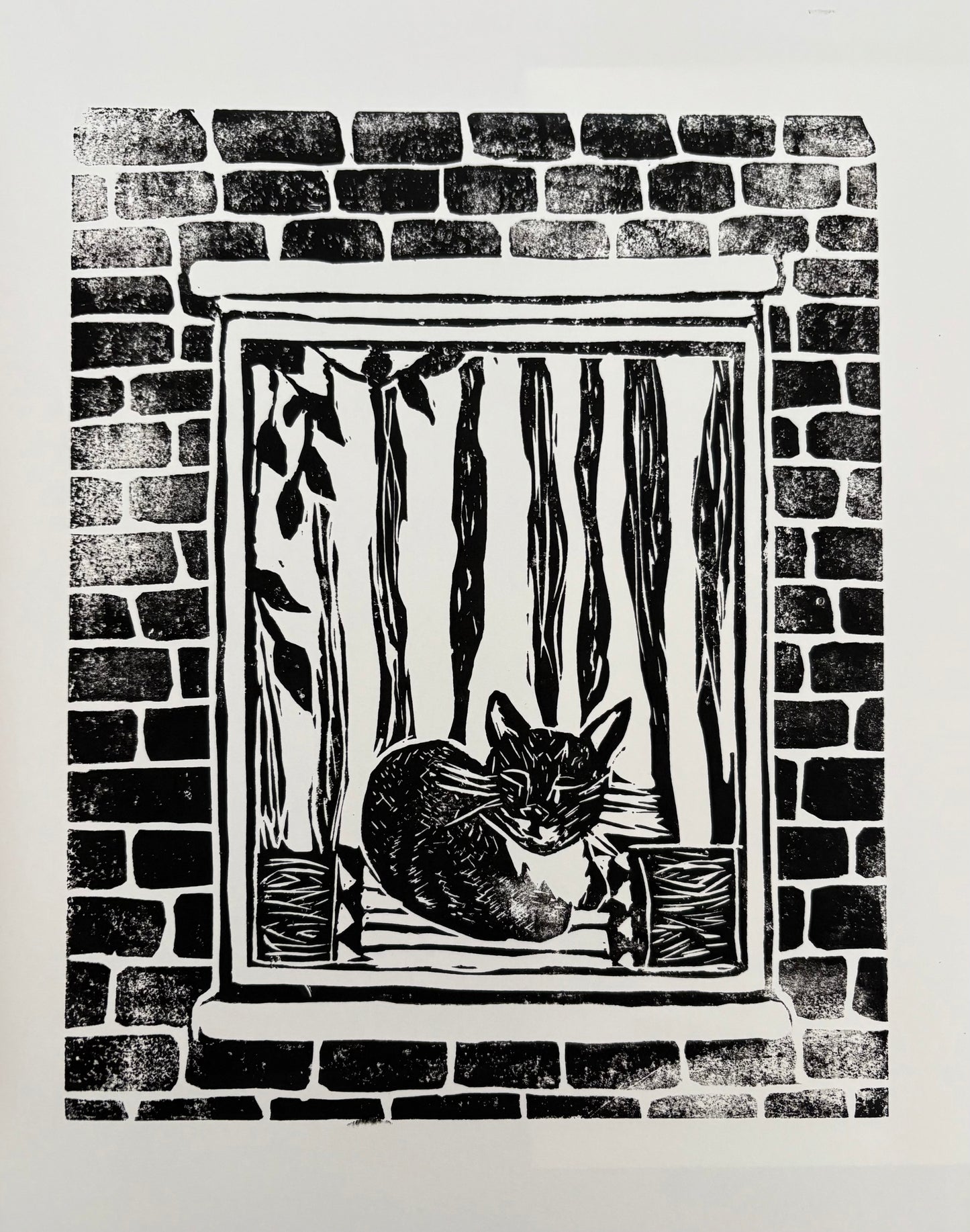 The Cat Behind the Curtain - 8x10 print on 11x14 paper