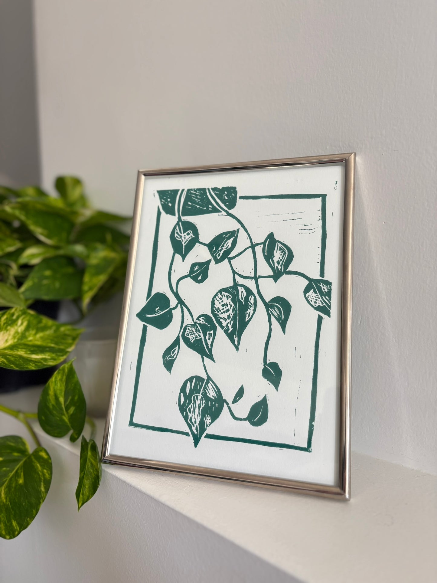Pothos - 5x7 print on 7x9 paper